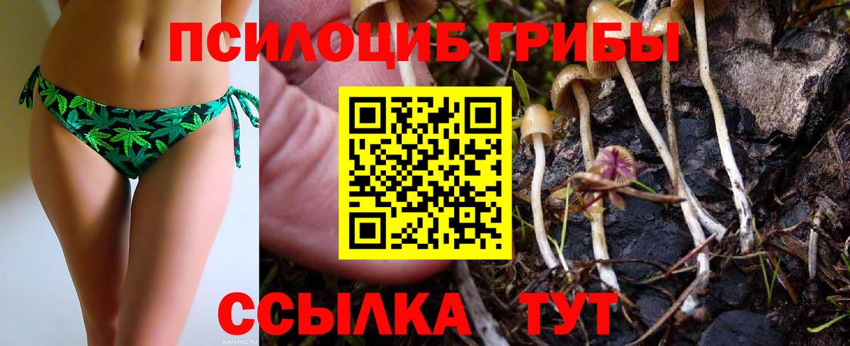 Псилоцибиновые грибы мухоморы  Псилоцибиновые грибы MAGIC MUSHROOMS  Троицк  Вход с VPN 